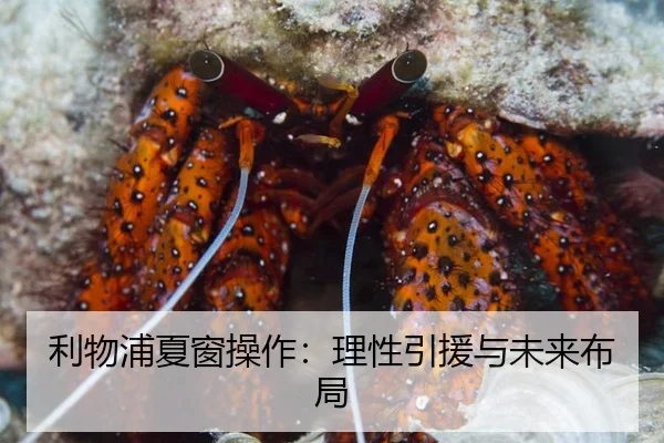 利物浦夏窗操作：理性引援与未来布局